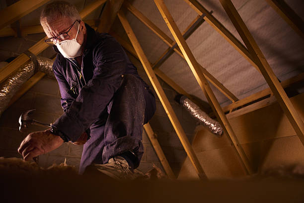 Best Insulation Maintenance and Repair in Littlerock, CA