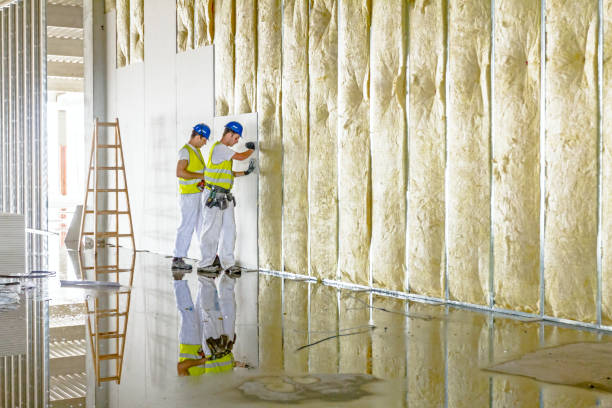 Best Types of Insulation in Littlerock, CA